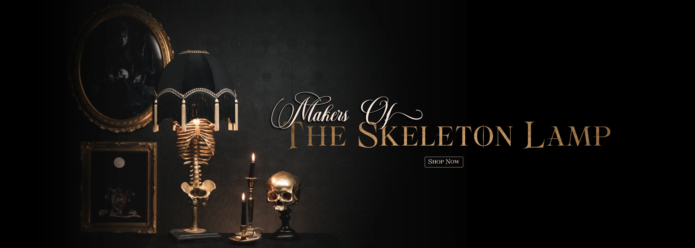 Illuminate the Beautifully Macabre