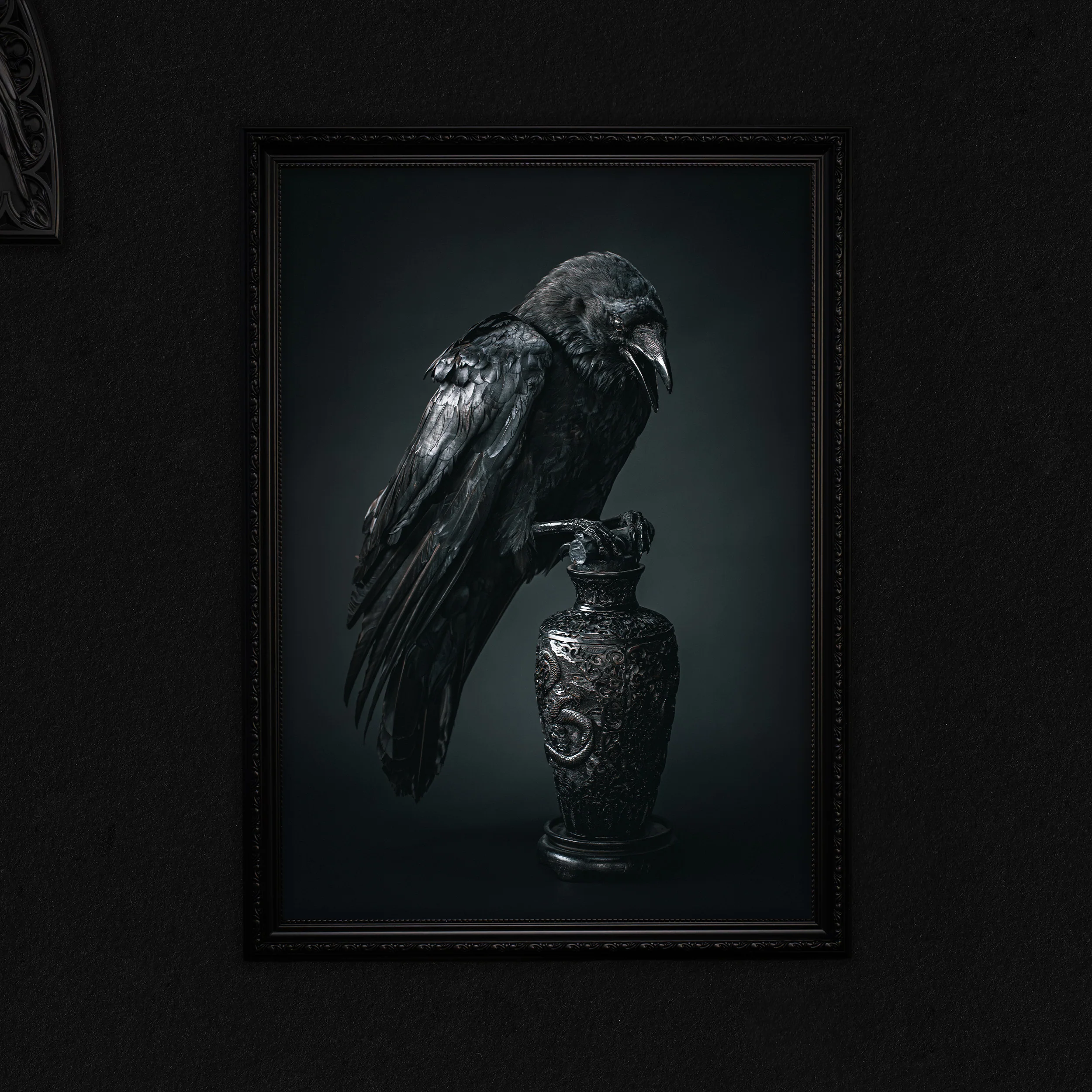 Photography Prints